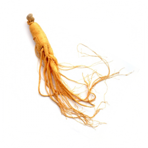 GINSENG_EXTRACT